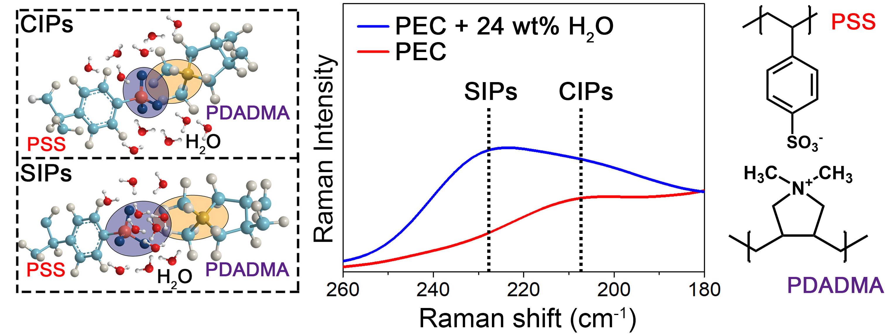当水分子存在时,阴阳离子相互作用从低拉曼位移的cips转化为高拉曼