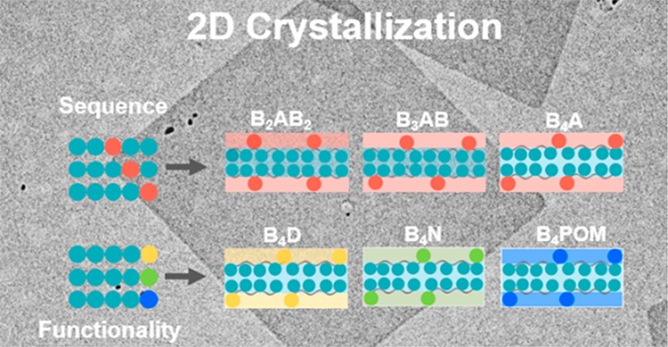 https://pubs.acs.org/na101/home/literatum/publisher/achs/journals/content/mamobx/2021/mamobx.2021.54.issue-23/acs.macromol.1c01958/20211206/images/large/ma1c01958_0007.jpeg